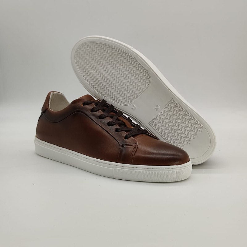 Albert sneakers