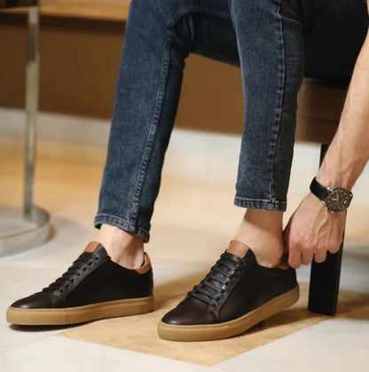 Premier Low Top
