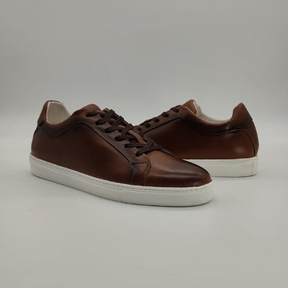 Albert sneakers