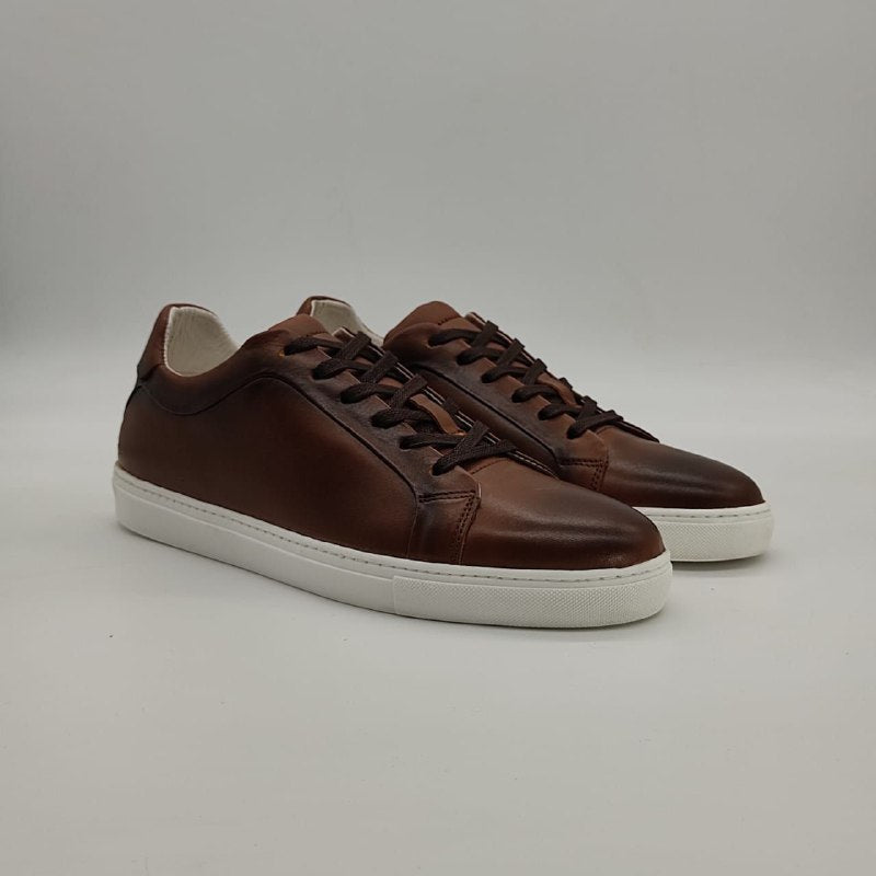 Albert sneakers