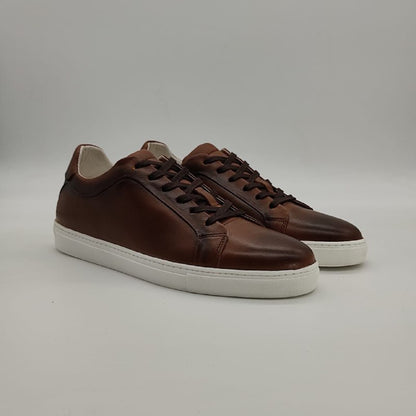 Albert sneakers